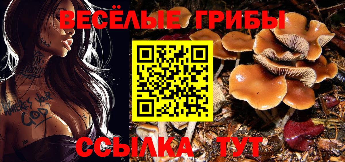 Псилоцибиновые грибы MAGIC MUSHROOMS Чайковский